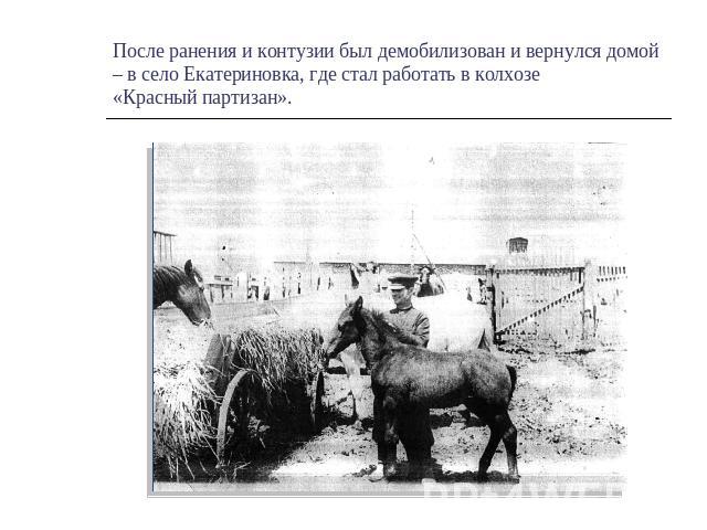 После ранения и контузии был демобилизован и вернулся домой – в село Екатериновка, где стал работать в колхозе «Красный партизан».