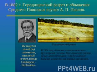 В 1882 г. Городищенский разрез и обнажения Среднего Поволжья изучал А. П. Павлов