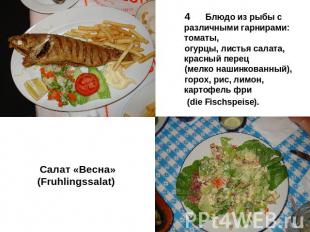 Салат «Весна» (Fruhlingssalat) 4 Блюдо из рыбы с различными гарнирами: томаты, о