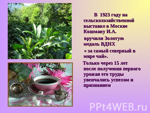 В 1923 году на сельскохозяйственной выставке в Москве Кошману И.А. вручили Золотую медаль ВДНХ « за самый северный в мире чай». Только через 15 лет после получения первого урожая его труды увенчались успехом и признанием.