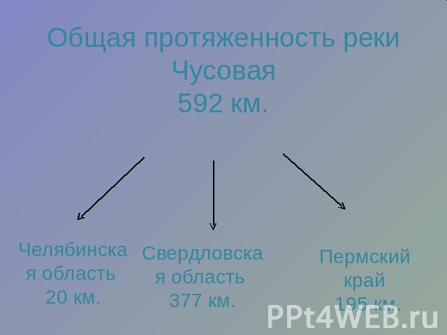 Общая протяженность реки Чусовая592 км. Челябинская область 20 км. Свердловская область 377 км. Пермский край 195 км.