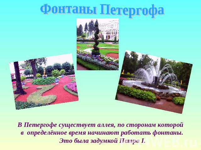 Фонтаны Петергофа В Петергофе существует аллея, по сторонам которой в определённое время начинают работать фонтаны. Это была задумкой Петра I.