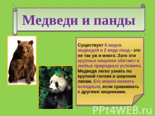 Медведи и панды Существует 8 видов медведей и 2 вида панд - это не так уж и мног