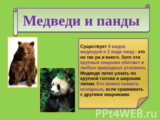 Медведи и панды Существует 8 видов медведей и 2 вида панд - это не так уж и много. Зато эти крупные хищники обитают в любых природных условиях. Медведя легко узнать по крупной голове и широким лапам. Его можно назвать всеядным, если сравнивать с дру…