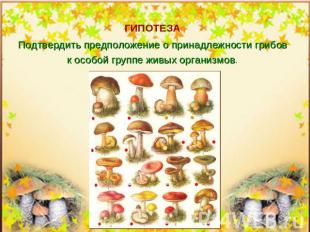 Подтвердить предположение о принадлежности грибовк особой группе живых организмо