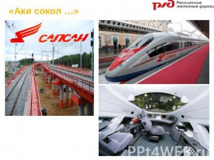 «Аки сокол …» В России регулярная эксплуатация высокоскоростных поездов «Сапсан»
