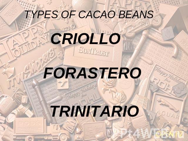 TYPES OF CACAO BEANS CRIOLLO FORASTERO TRINITARIO