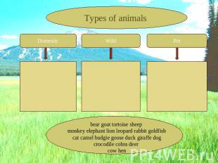 Types of animals Domestic Wild Pet bear goat tortoise sheep monkey elephant lion