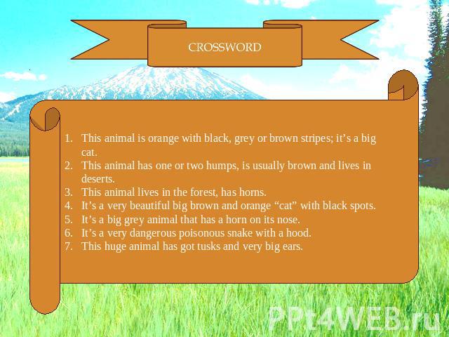 This animal is orange with black, grey or brown stripes; it’s a big cat.This animal has one or two humps, is usually brown and lives in deserts. This animal lives in the forest, has horns.It’s a very beautiful big brown and orange “cat” with black s…