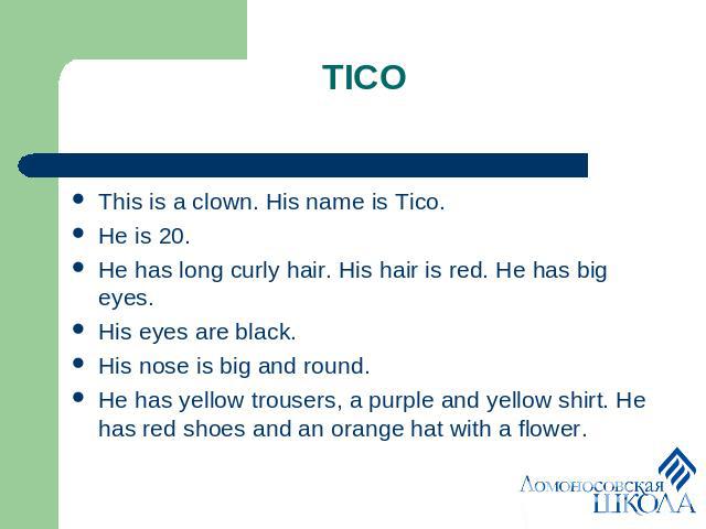 TICO This is a clown. His name is Tico. He is 20. He has long curly hair. His hair is red. He has big eyes. His eyes are black. His nose is big and round. He has yellow trousers, a purple and yellow shirt. He has red shoes and an orange hat with a flower.