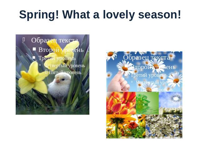 Spring! What a lovely season!