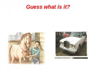 Guess what is it?a horse