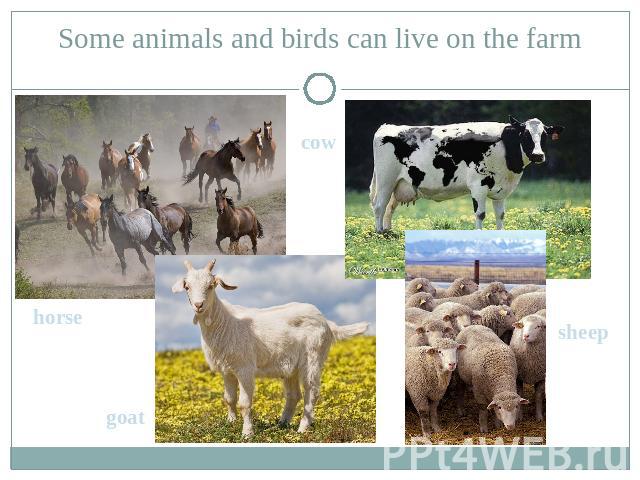 Some animals and birds can live on the farm cow horse goat sheep