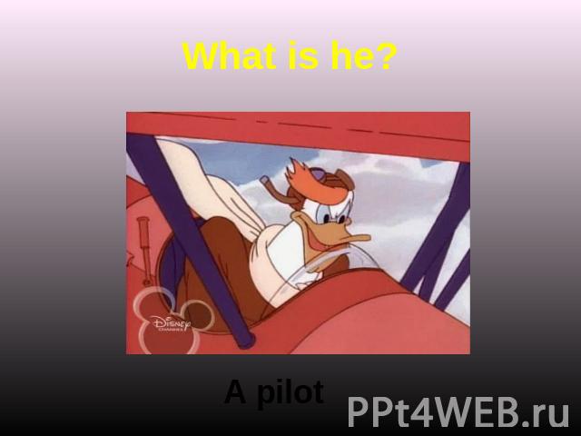 What is he? A pilot