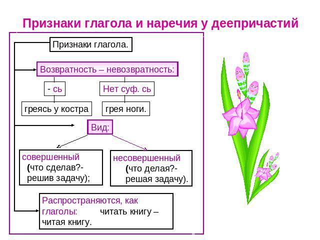 Признаки глагола и наречия у деепричастий