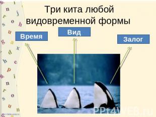 Три кита любой видовременной формы