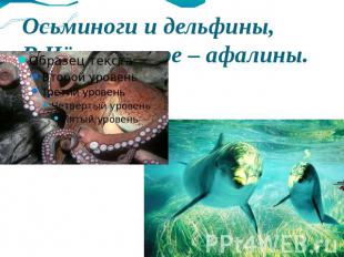 Осьминоги и дельфины,В Чёрном море – афалины.