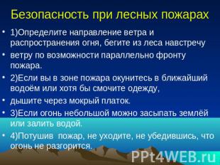 Безопасность при лесных пожарах 1)Определите направление ветра и распространения