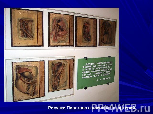 Рисунки Пирогова с препаратов артерий