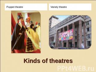 Puppet theatre Variety theatre Kinds of theatres