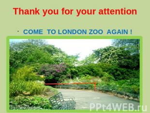 Thank you for your attentionCOME TO LONDON ZOO AGAIN !