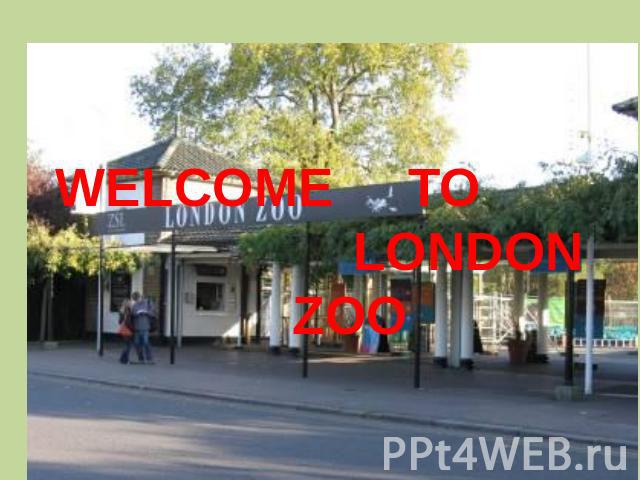 WELCOME TO LONDON ZOO