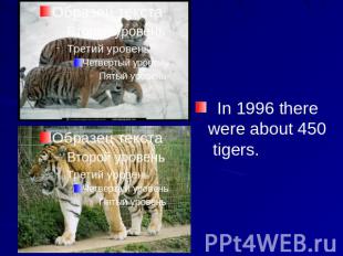 In 1996 there were about 450 tigers.