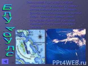 Блу-Хоулс Темно-синий Язык океана огибает остров Андрос и доходит до самого цент