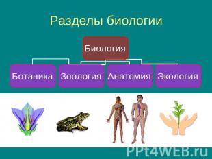 Разделы биологии