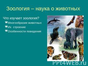 Зоология – наука о животных Что изучает зоология? Многообразие животныхИх строен