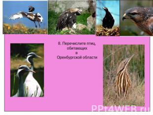 8. Перечислите птиц,обитающихв Оренбургской области