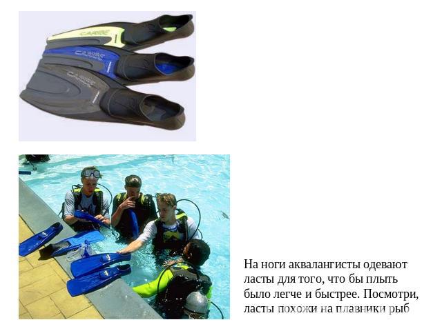 На ноги аквалангисты одевают ласты для того, что бы плытьбыло легче и быстрее. Посмотри, ласты похожи на плавники рыб