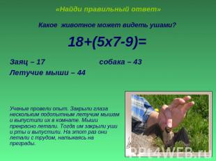 «Найди правильный ответ» Какое животное может видеть ушами?18+(5х7-9)=Заяц – 17