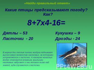 «Найди правильный ответ» Какие птицы предсказывают погоду? Как?8+7х4-16=Дятлы –