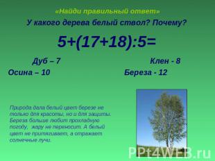 «Найди правильный ответ» У какого дерева белый ствол? Почему?5+(17+18):5=Дуб – 7