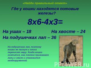 «Найди правильный ответ» Где у кошки находятся потовые железы?8х6-4х3=На ушах –