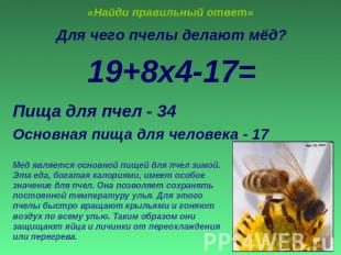 «Найди правильный ответ» Для чего пчелы делают мёд?19+8х4-17=Пища для пчел - 34