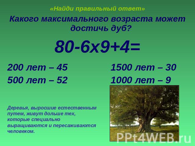 «Найди правильный ответ» Какого максимального возраста может достичь дуб?80-6х9+4=200 лет – 45 1500 лет – 30500 лет – 52 1000 лет – 9 Деревья, выросшие естественным путем, живут дольше тех, которые специально выращиваются и пересаживаются человеком.