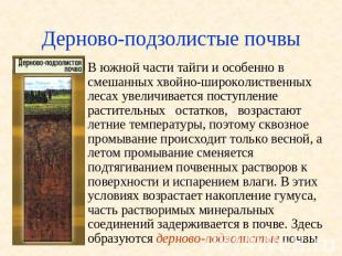 Дерново-подзолистые почвы В южной части тайги и особенно в смешанных хвойно-широ