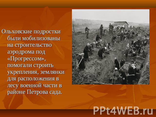 Ольховские подростки были мобилизованы на строительство аэродрома под «Прогрессом», помогали строить укрепления, землянки для расположения в лесу военной части в районе Петрова сада.