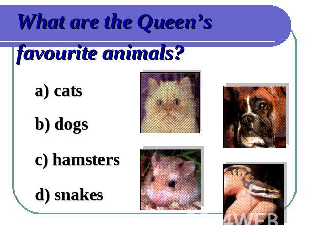 What are the Queen’s favourite animals?