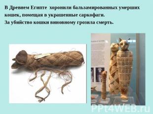 В Древнем Египте хоронили бальзамированных умерших кошек, помещая в украшенные с