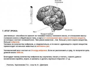 7. ИТОГ УРОКА: умственные способности зависят не только от массы головного мозга