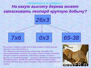 «Животные в цифрах»На какую высоту дерева может затаскивать леопард крупную добы