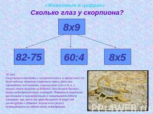 «Животные в цифрах»Сколько глаз у скорпиона?10 глаз.Скорпионы встречаются исключ