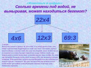 «Животные в цифрах»Сколько времени под водой, не выныривая, может находиться бег