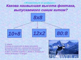 «Животные в цифрах»Какова наивысшая высота фонтана, выпускаемого синим китом?12