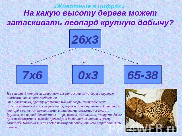 «Животные в цифрах»На какую высоту дерева может затаскивать леопард крупную добычу?На высоту 9 метров леопард может затаскивать на дерево крупную антилопу, после чего поедает ее.Это одиночный, преимущественно ночной зверь. Леопарды легко приспосабли…