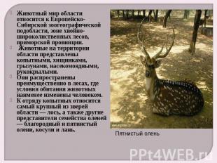 Животный мир области относится к Европейско-Сибирской зоогеографической подоблас