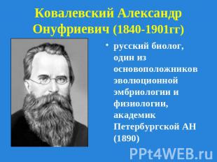 Ковалевский Александр Онуфриевич (1840-1901гг) русский биолог, один из основопол